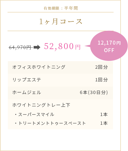 1ヶ月コース 52,800円