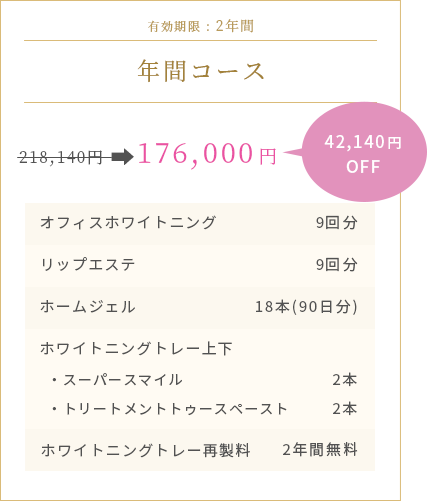 年間コース 176,000円